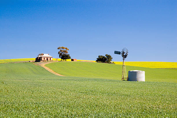 istock Abandoned Farmhouse 139995861