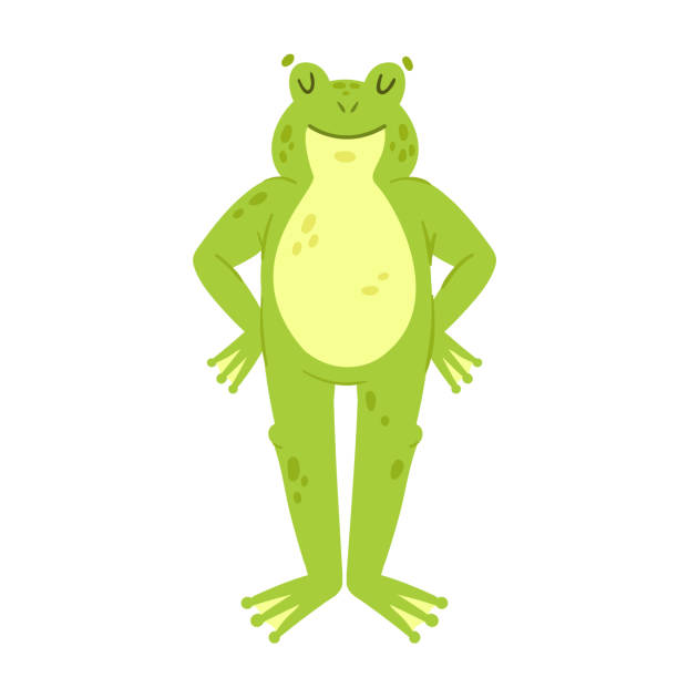 illustrazioni stock, clip art, cartoni animati e icone di tendenza di rana verde in posa eretta - frog catching fly water