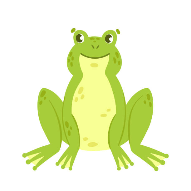 앉아있는 포즈에 녹색 개구리 - frog jumping pond water lily stock illustrations