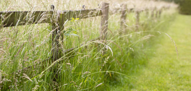 istock fence in the grass in sunlight 1399959616
