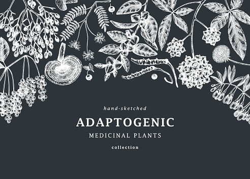 Adaptogenic plants background design on chalkboard