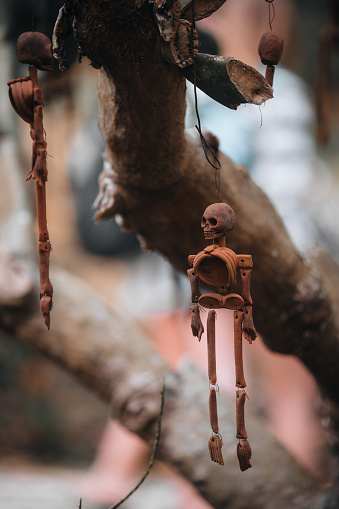 Day of the dead figures hanging on a tree in a botanical garden in Puerto Vallarta
