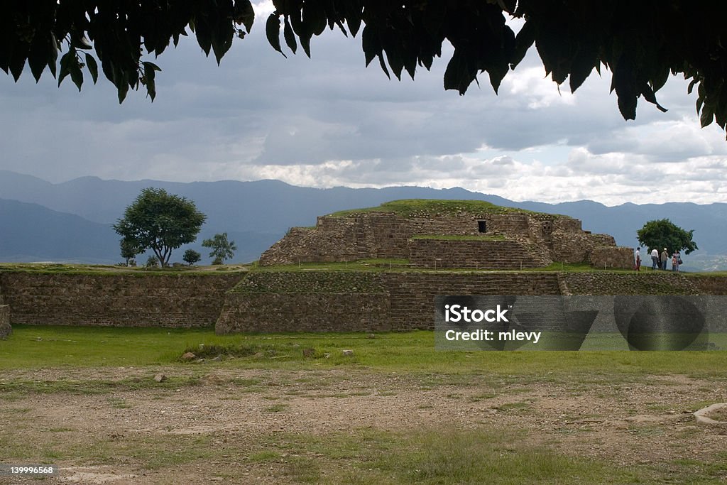 Rovine nella giungla - Foto stock royalty-free di Civiltà azteca