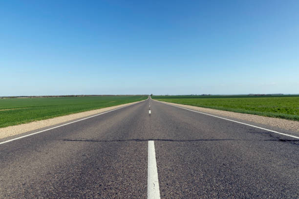 istock an asphalt road along which green plants 1399965834
