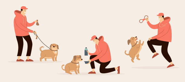 Dog walking and cleaning rules Pet owner clean after his animal, give water, and play with the dog. vector art illustration