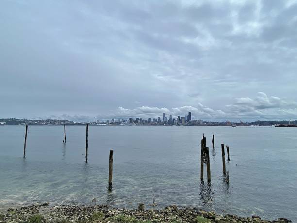 elliot bay, seattle - alki beach zdjęcia i obrazy z banku zdjęć