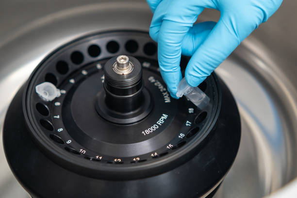 istock Scientist puts microcentrifuge tubes into centrifuge for phase separation 1399970169