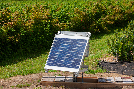 Solar panel on farm with blueberry bushes in background.