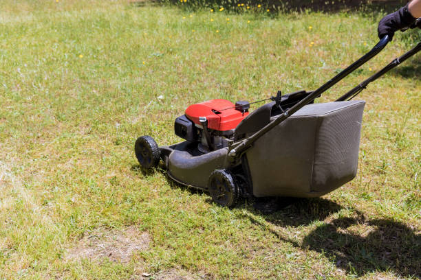 istock Woman mows lawn using gasoline-powered self-propelled lawn mower 1399971029
