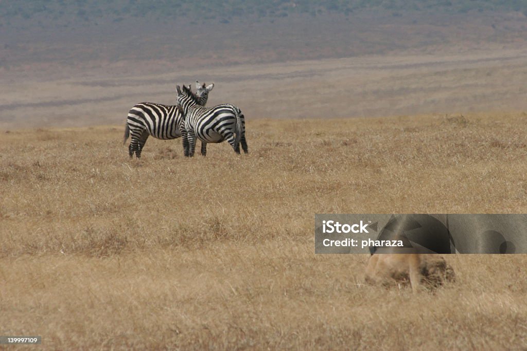 Stasera stiamo mangiare - Foto stock royalty-free di Africa