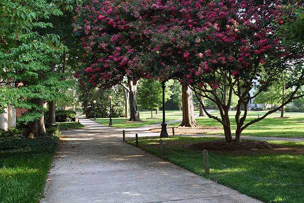 istock University of Georgia Campus 139997189