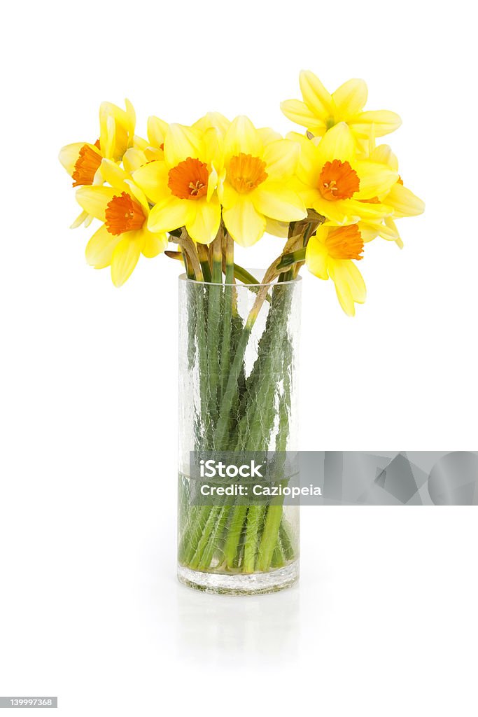 Daffodil Bunch Bunch of yellow daffodils in glass vase on white Arrangement Stock Photo