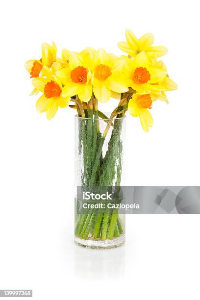 Daffodil Bunch Stock Photo - Download Image Now - Arrangement, Beauty, Beauty In Nature