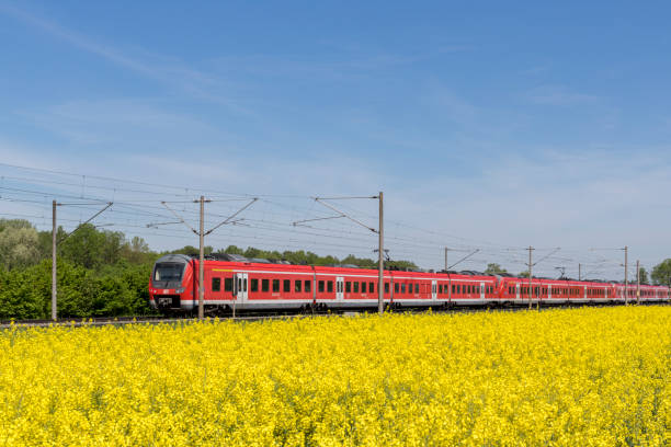 german train and yellow field of canola Bavaria, Germany, Mai 2022, DB, Deutsche Bahn, german train, red regional train drives through a landscape in spring time deutsche bahn stock pictures, royalty-free photos & images
