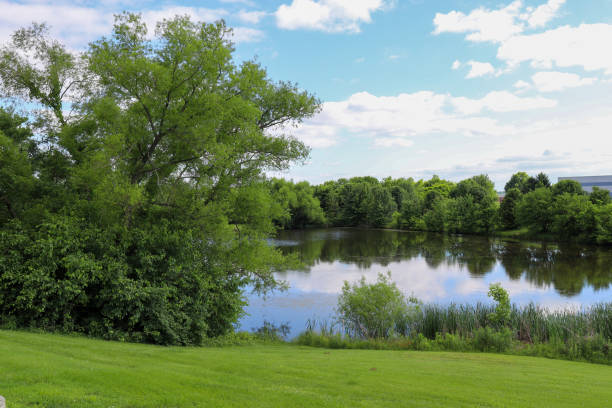 A view of a beautiful lake against a blue sky
