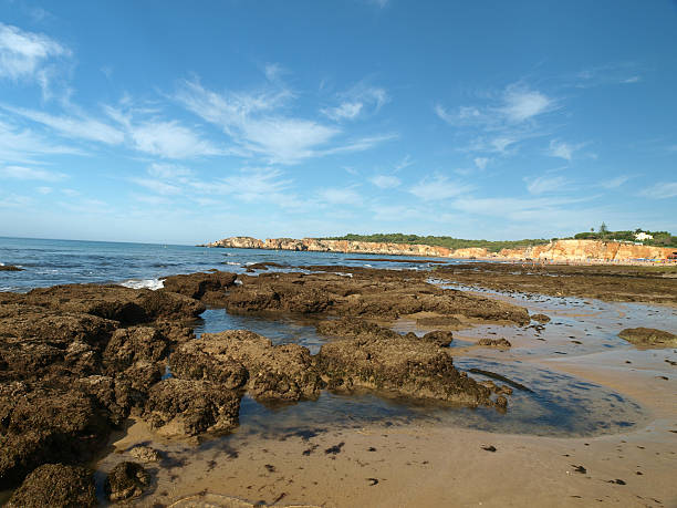 istock Algarve coast at low tide the ocean 139998146