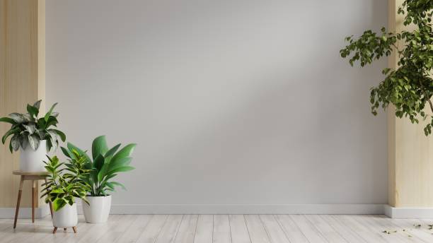 istock Room with plants on a wooden floor in empty white room. 1399983360