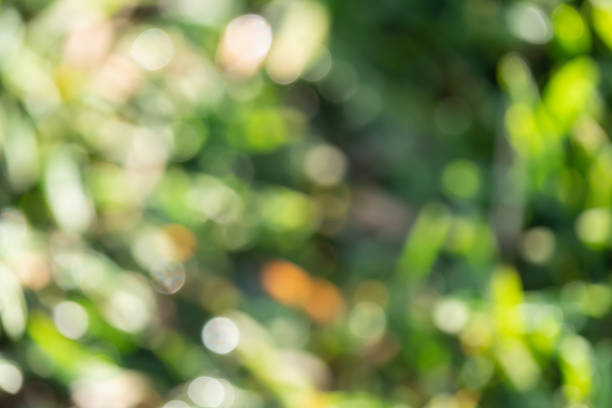 istock A green-colored bokeh ball. Bright light ball background material. 1399989573