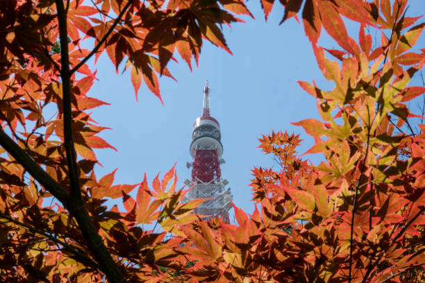 istock Momiji Season 1399989690