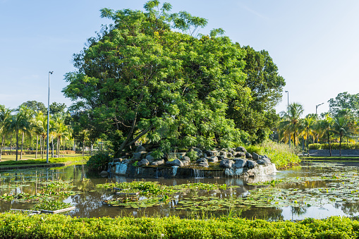 Park Garden Pond in Sha Tin, Hong Kong