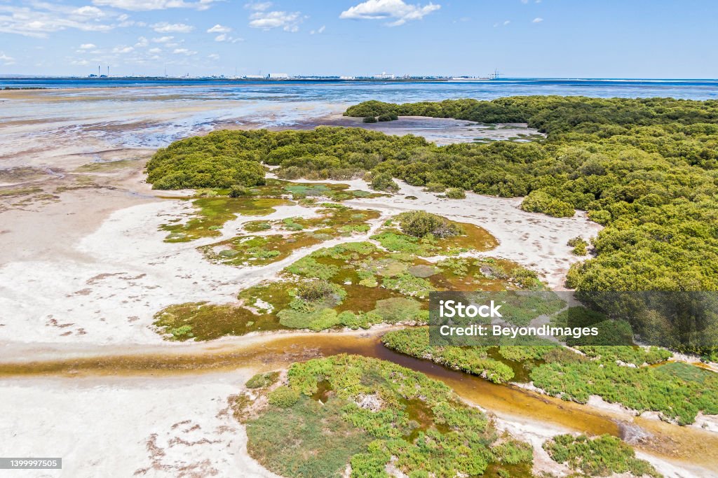 Aerial view sandy mangrove reserve with industrial port area on horizon Aerial view natural sandy mangrove reserve with industrial area across water on horizon: power station, port, cranes, grain silo, factories. Endangered environment. Aerial View Stock Photo