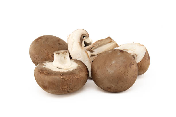 istock Fresh whole crimini (Baby Bella) mushrooms 1400000595