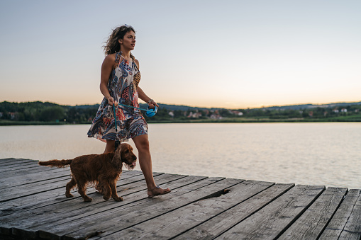 Beautiful young woman in dress walking dog on wooden lake pier at summer evening
