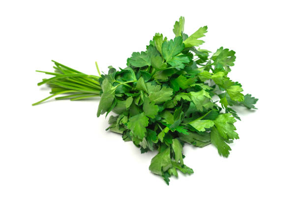 istock A bunch of parsley isolated on white background. 1400016268