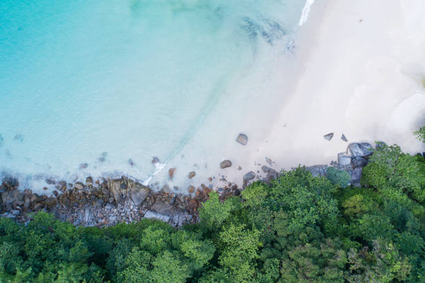 istock Aerial view Top down seashore wave crashing on seashore Beautiful turquoise sea surface in sunny day Good weather day summer background Amazing beach top view 1400016898