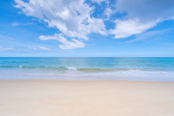 istock Tropical sandy beach with blue ocean and blue sky background image for nature background or summer background 1400016934