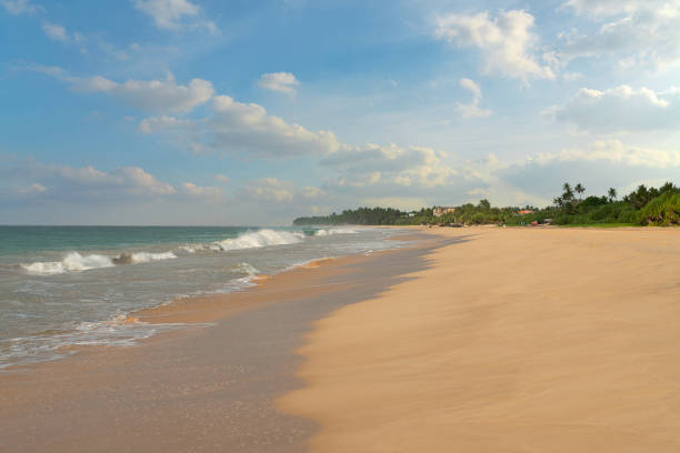 istock Sand sea beach with blue sky and palm trees, Sri Lanka 1400017612