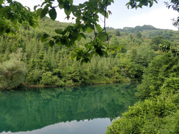 istock yuvacik reservoir in izmit turkey 1400019206