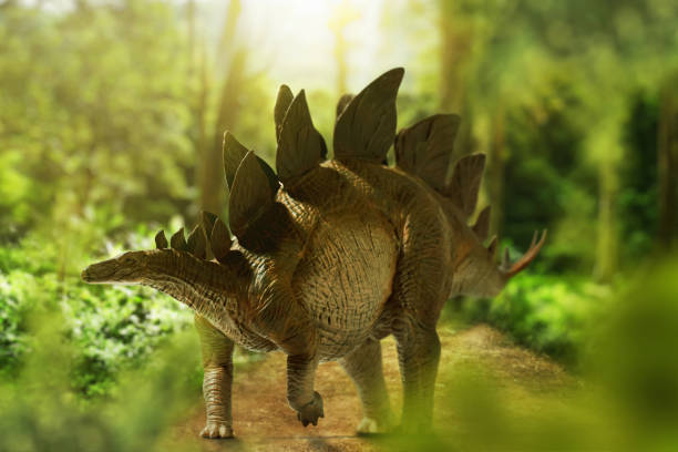 istock Dinosaur, Stegosaurus in the jungle 1400019986