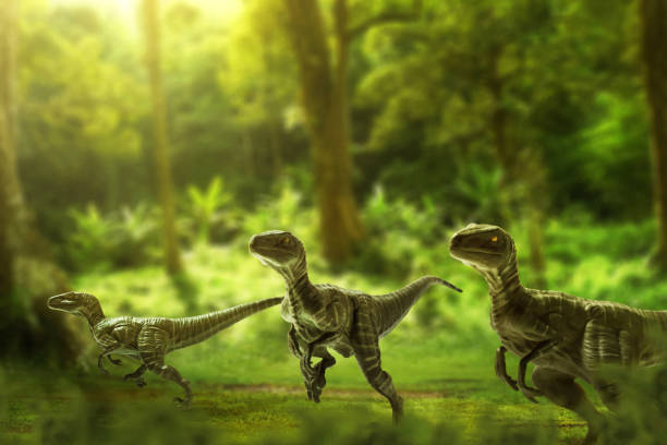 istock Dinosaurs, velociraptors in the jungle 1400020061