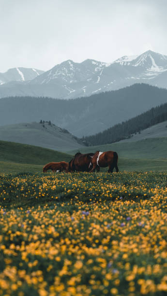 istock Landscape with horse and mountains 1400020173