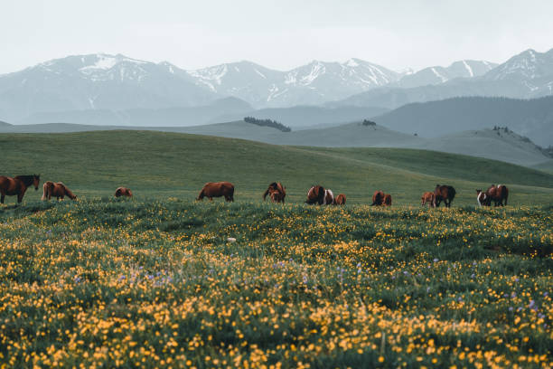 istock Landscape with horses and mountains 1400020243