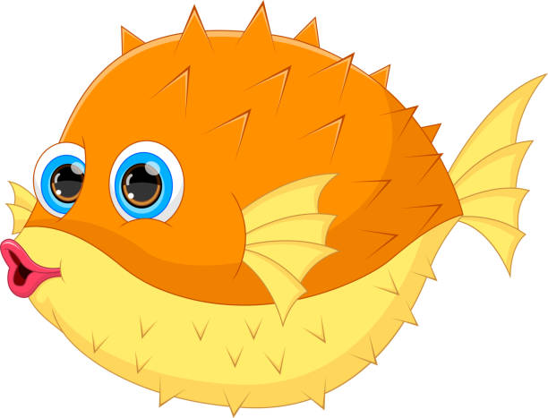 cute puffer fish cartoon on white background vector illustration of cute puffer fish cartoon on white background 3610 stock illustrations