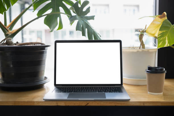 istock Comfortable workplace with laptop computer, houseplant and coffee cup on wooden table. 1400025995