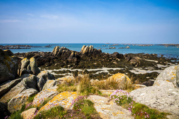 istock Chausey island Brittany, France 1400026340