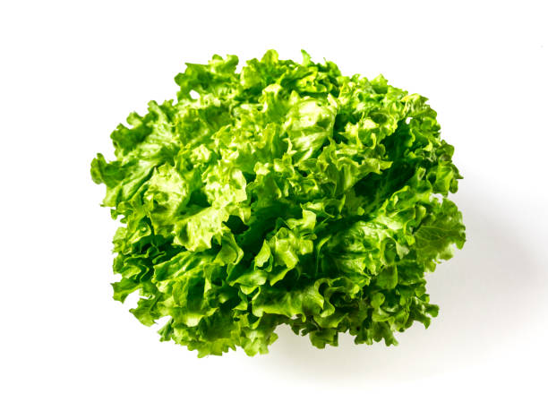 istock Lettuce salad isolated on a white background 1400026472