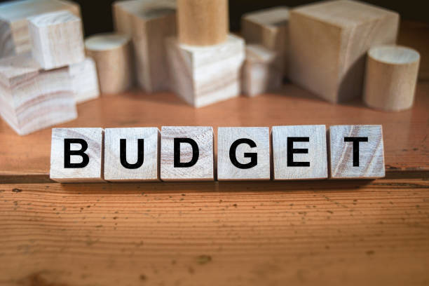 Budget Word In Wooden Cube stock photo