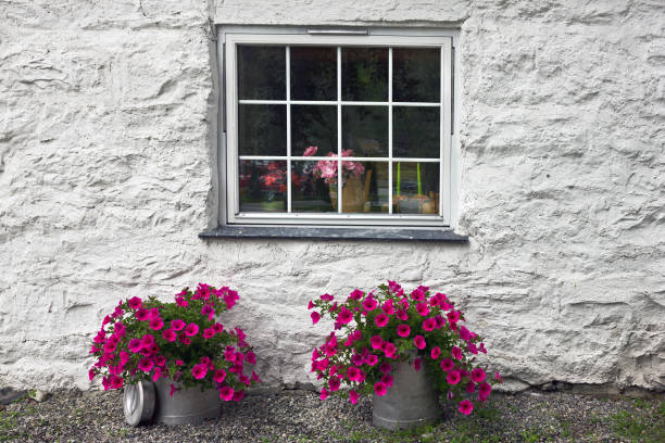 istock Window of the house 1400034094