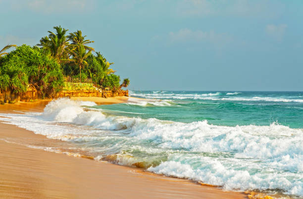 istock Ocean waves on sand beach with palms, Sri Lanka. 1400034238