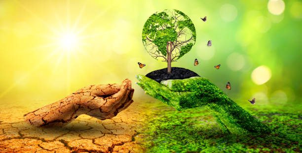 istock tree in two hands  with very different environments Earth Day or World Environment Day Global Warming and Pollution 1400035378