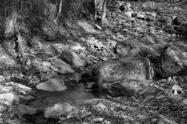 istock black and white photo 1400039675
