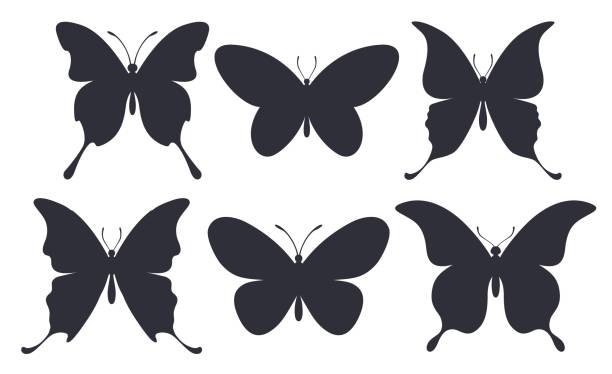illustrazioni stock, clip art, cartoni animati e icone di tendenza di un set vettoriale di sagome a farfalla - farfalla