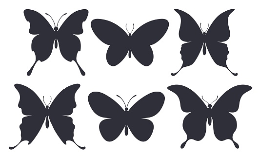 Butterfly silhouettes vector set, black shape isolated on white background
