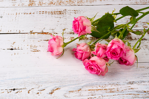 red roses lie beautifully on the desk