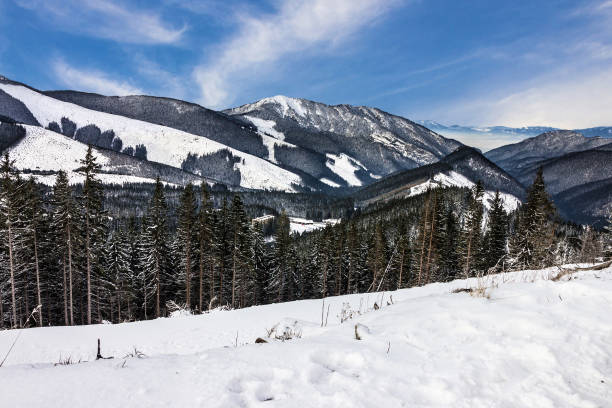 istock winter snow, landscape, mountain scenery 1400041639