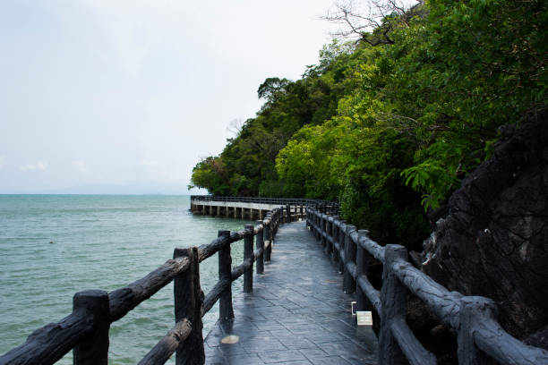 Stone bridge of time travel journey zone in sea ocean of Mu Ko Petra National Park for thai people and foreign traveler walking travel visit relax in Pak Bara village at La ngu city in Satun, Thailand puente de piedra de la zona de viaje en el tiempo en el océano marino del parque nacional mu ko petra para los tailandeses y los viajeros extranjeros que viajan a pie visite relajarse en el pueblo de pak bara en la ciudad de la ngu en satun, tailandia